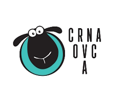 Crna Ovca Novi Sad